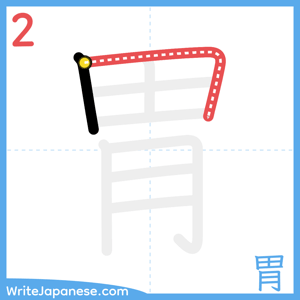How to write "胃" - stroke 2