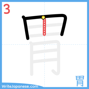 How to write "胃" - stroke 3