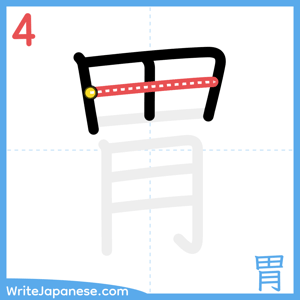 How to write "胃" - stroke 4