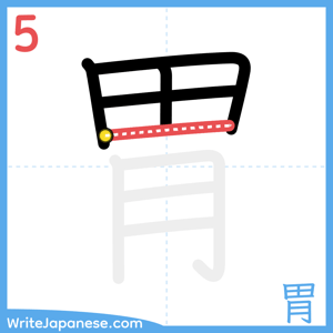 How to write "胃" - stroke 5