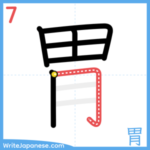 How to write "胃" - stroke 7