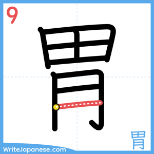 How to write "胃" - stroke 9