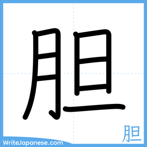 How to write "胆" - complete stroke order