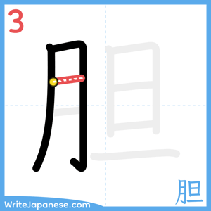 How to write "胆" - stroke 3