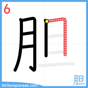 How to write "胆" - stroke 6
