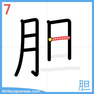 How to write "胆" - stroke 7
