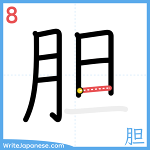 How to write "胆" - stroke 8