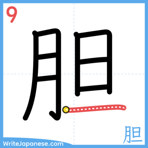 How to write "胆" - stroke 9