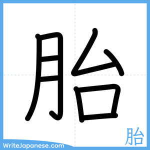 How to write "胎" - complete stroke order