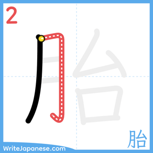 How to write "胎" - stroke 2
