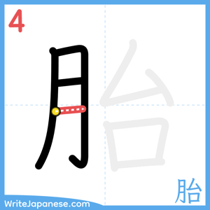 How to write "胎" - stroke 4