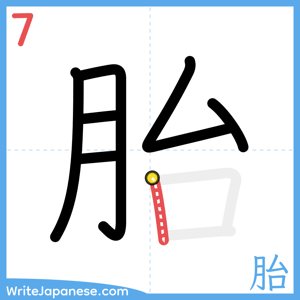 How to write "胎" - stroke 7