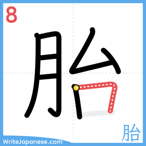 How to write "胎" - stroke 8
