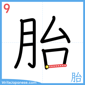 How to write "胎" - stroke 9