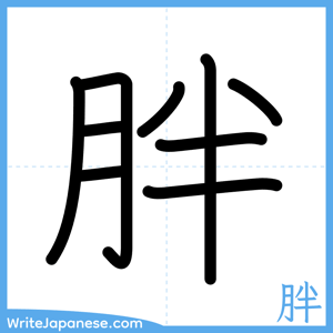 How to write "胖" - complete stroke order