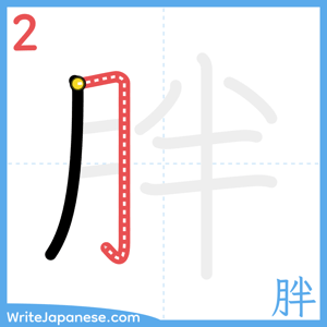 How to write "胖" - stroke 2