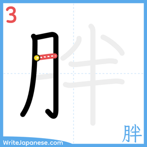 How to write "胖" - stroke 3