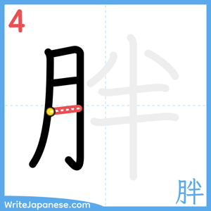 How to write "胖" - stroke 4