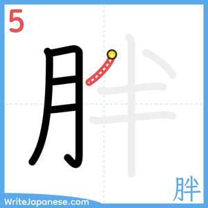 How to write "胖" - stroke 5