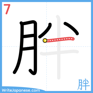 How to write "胖" - stroke 7