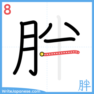 How to write "胖" - stroke 8