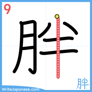 How to write "胖" - stroke 9