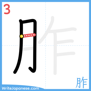 How to write "胙" - stroke 3