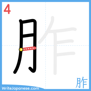 How to write "胙" - stroke 4