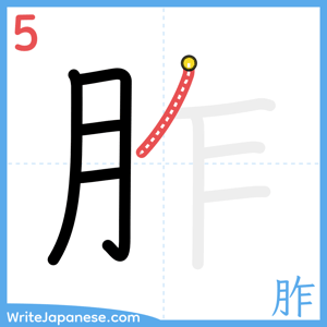 How to write "胙" - stroke 5