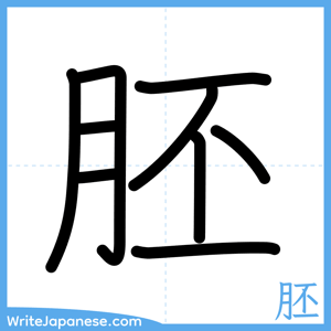 How to write "胚" - complete stroke order