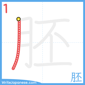 How to write "胚" - stroke 1