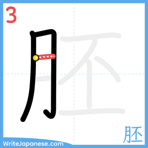 How to write "胚" - stroke 3
