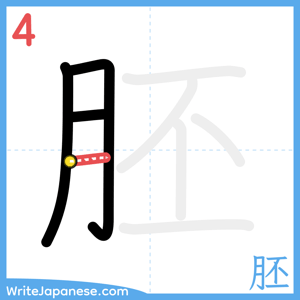 How to write "胚" - stroke 4