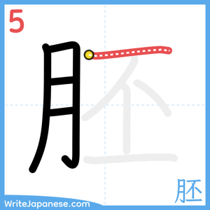 How to write "胚" - stroke 5