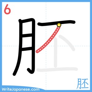 How to write "胚" - stroke 6