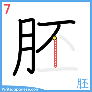 How to write "胚" - stroke 7