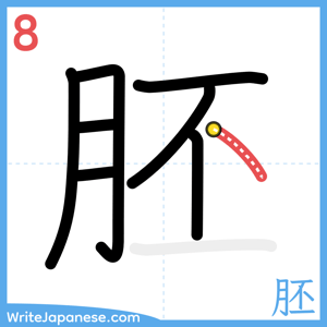 How to write "胚" - stroke 8