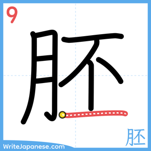 How to write "胚" - stroke 9