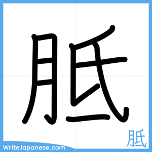 How to write "胝" - complete stroke order