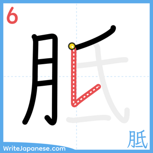 How to write "胝" - stroke 6