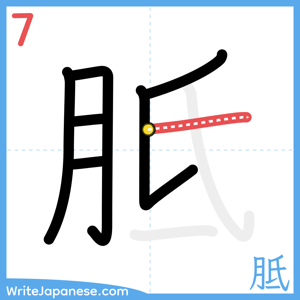 How to write "胝" - stroke 7