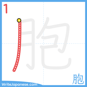 How to write "胞" - stroke 1