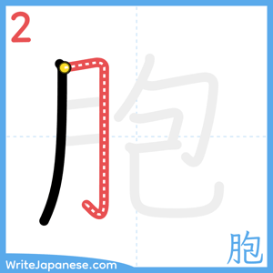 How to write "胞" - stroke 2