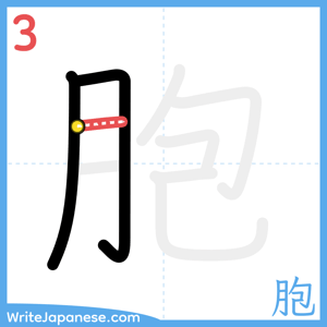 How to write "胞" - stroke 3