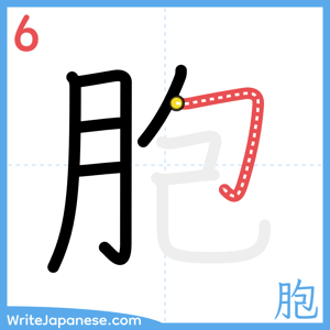 How to write "胞" - stroke 6