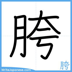How to write "胯" - complete stroke order