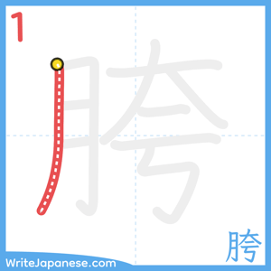 How to write "胯" - stroke 1