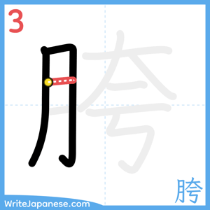 How to write "胯" - stroke 3