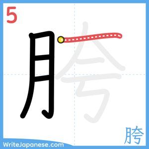 How to write "胯" - stroke 5
