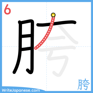 How to write "胯" - stroke 6